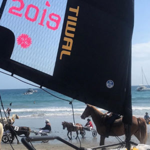 Tiwal 3 inflatable sailboat next to a horse