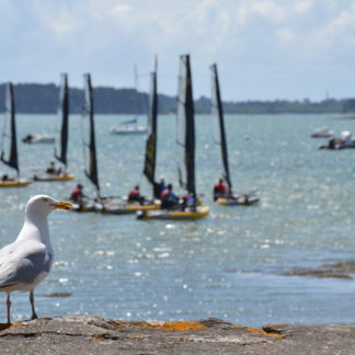 News | Events | Tiwal Cup 2019 Fleet of 48 inflatable sailing boats during the Tiwal Cup 2019 in the Gulf of Morbihan.