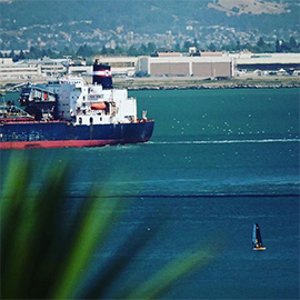 In der Bucht von San Francisco segeln