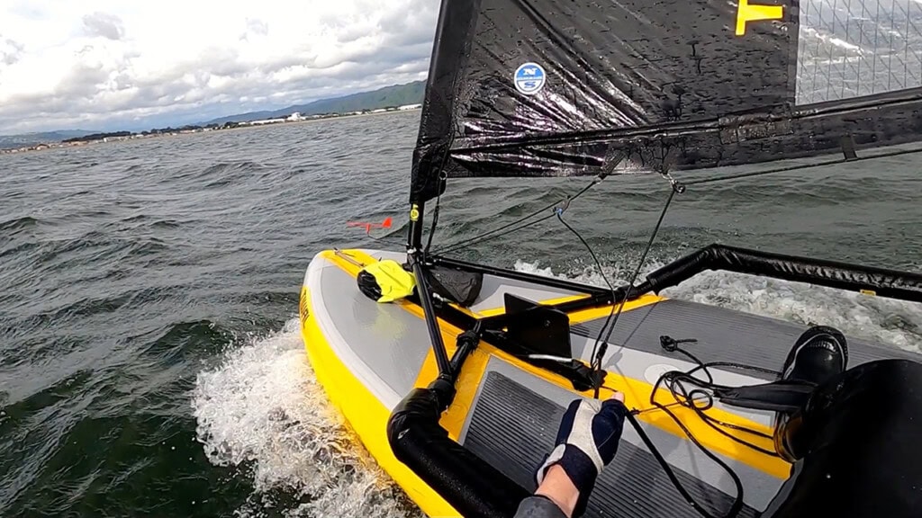 Fun sailing in Wellington Harbour